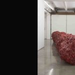 Anish Kapoor