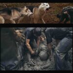 Carlos & Jason Sanchez